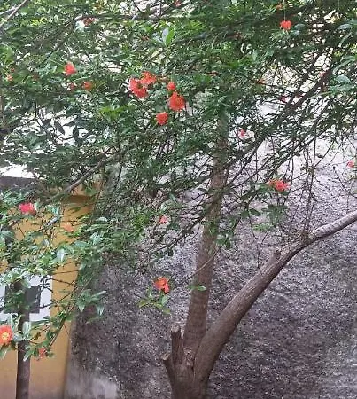Il Giardino Nascosto Nápoles
