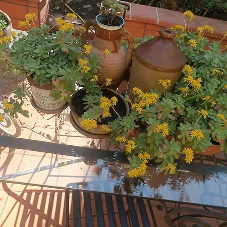 Il Giardino Nascosto 4* Nápoles