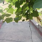 Pensjonat Il Giardino Nascosto