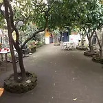Il Giardino Nascosto בית הארחה נאפולי