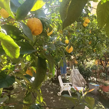 Il Giardino Nascosto Pensjonat 4*