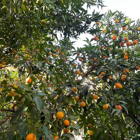 Il Giardino Nascosto Pensjonat