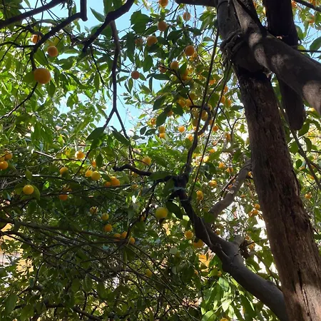 Il Giardino Nascosto 4*