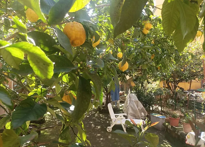 Il Giardino Nascosto 게스트하우스 4*