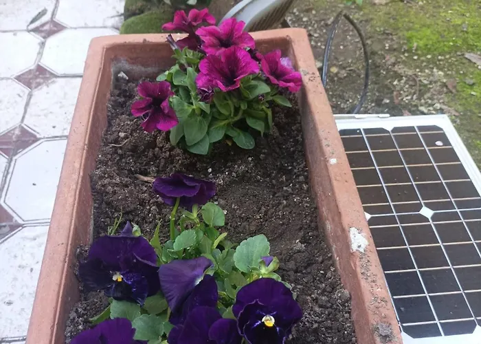 Il Giardino Nascosto 4*