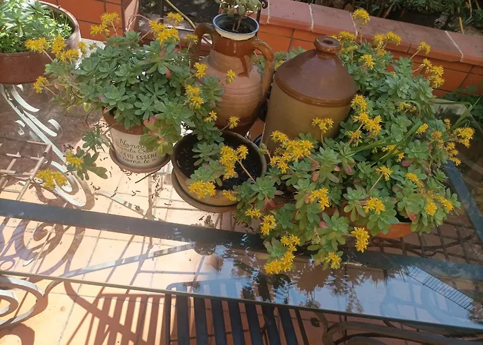 Il Giardino Nascosto 4* 나폴리