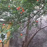 Il Giardino Nascosto Nápoles