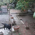 Il Giardino Nascosto 那不勒斯