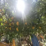 Il Giardino Nascosto 招待所
