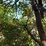 Il Giardino Nascosto 4*