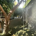 Il Giardino Nascosto 那不勒斯