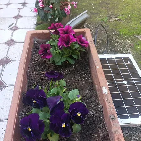 Il Giardino Nascosto 4*