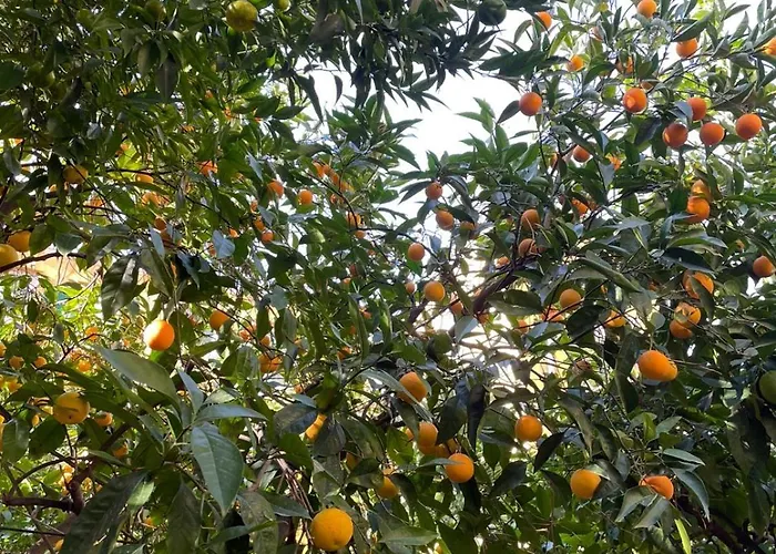 Il Giardino Nascosto Гостевой дом