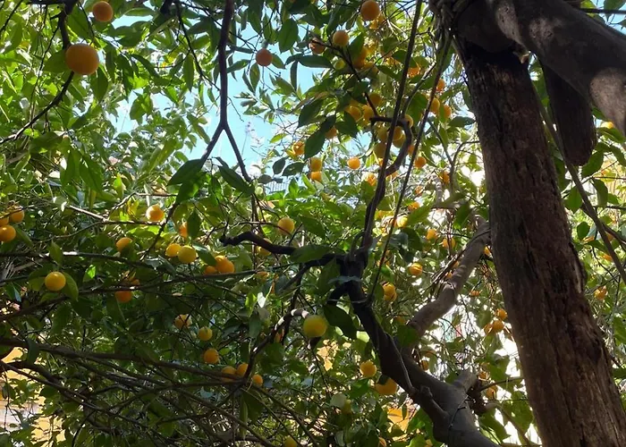 Il Giardino Nascosto 4*