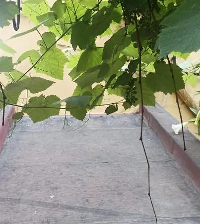 Penzion Il Giardino Nascosto