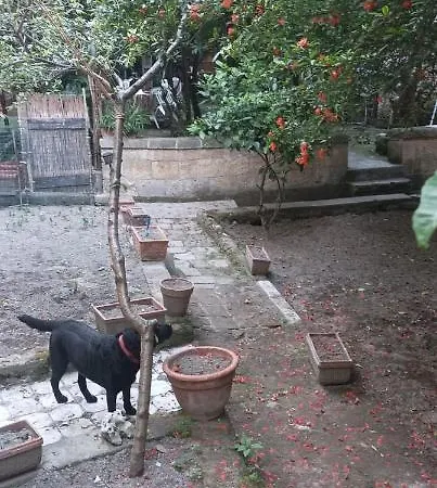 Il Giardino Nascosto Naples