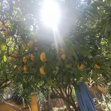 Il Giardino Nascosto Guest house